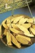 Lékořice (LiFE - lékořicový flavonoidový extrakt)