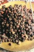 Klanopraška (schisandra)