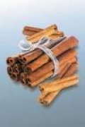 Skořice čínská (Cinnamonum cassia)